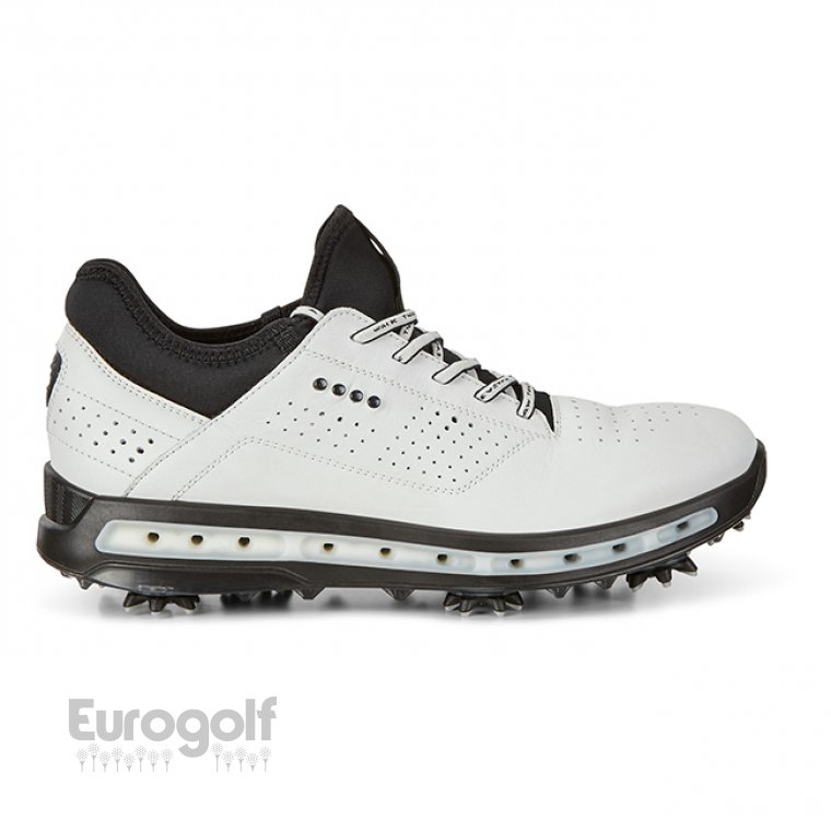 ecco cool white